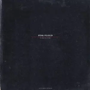 Pink Floyd - Ivor Wynne (1990)