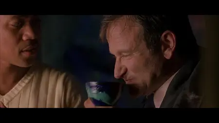 What Dreams May Come (1998)