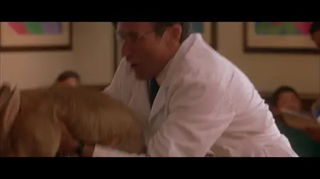 What Dreams May Come (1998)