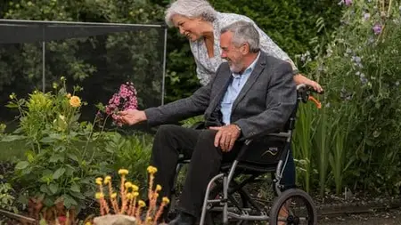 Chair Wellness: Holistic Health For Wheelchair Users