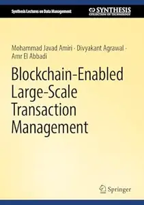 Blockchain-Enabled Large-Scale Transaction Management