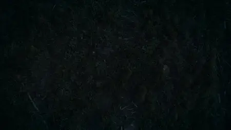 Accident.Suicide.or.Murder.S05E15.The.Marshland.Mystery.720p.AMZN.WEB-DL.DDP2.0.H.264-RAWR S05E15