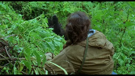 Gorillas in the Mist: The Story of Dian Fossey (1988)