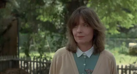 Crimes of the Heart (1986)