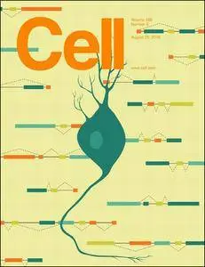 Cell - 25 August 2016