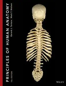 Principles of Human Anatomy, 13th Edition