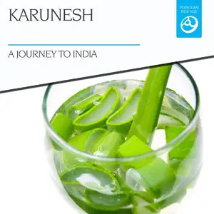 Karunesh - A Journey to India (2015)