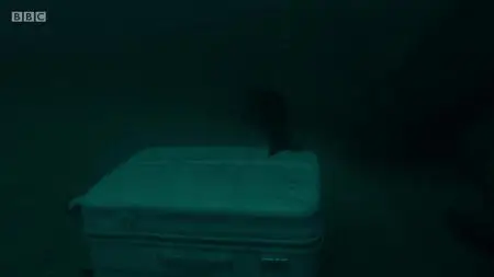 Top of the Lake S02E01