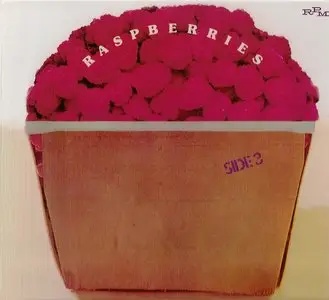 Raspberries - Studio Albums 1972-1974 (4CD) [Reissue 2004-2005]