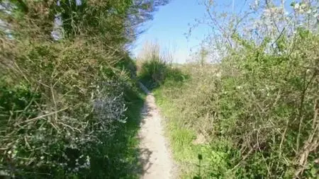 BBC - Chris Packham: The Walk that Made Me (2021