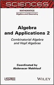 Algebra and Applications 2: Combinatorial Algebra and Hopf Algebras