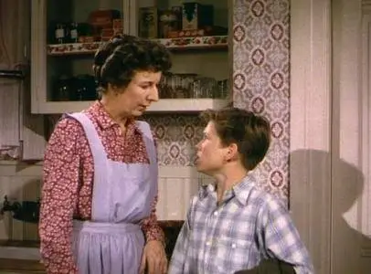 By the Light of the Silvery Moon (1953)