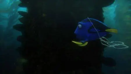 Finding Dory (2016)