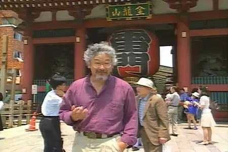 Discovery Channel - The Brain Our Universe Within: Perception (1998)
