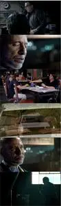The Bad Penny (2010)