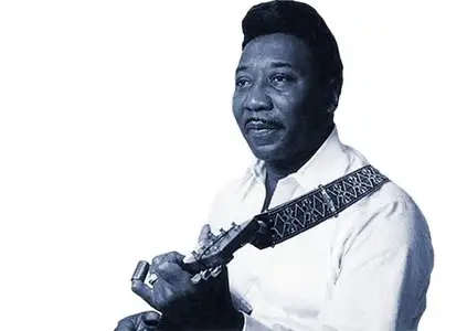 Muddy Waters - Live Dortmund, 1976 (2015, HDTV 720p)