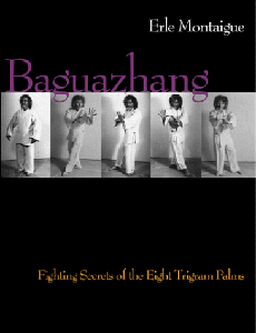 Baguazhang 