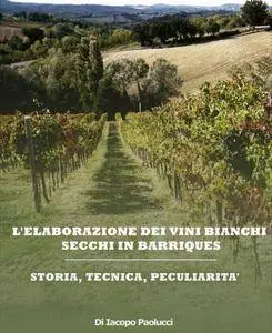 Iacopo Paolucci - L'elaborazione dei vini bianchi secchi in barriques