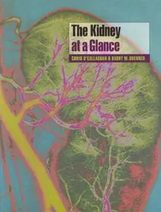 The Kidney at a Glance