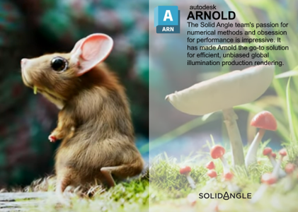 Solid Angle 3ds Max to Arnold 5.5.0.7