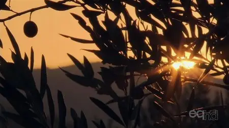ICTV - The Olive Route (2013)