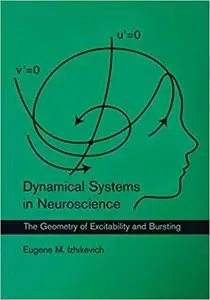 Dynamical Systems in Neuroscience: The Geometry of Excitability and Bursting