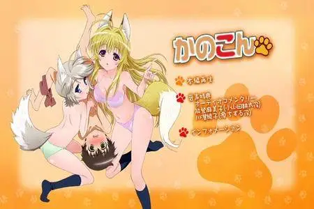 Kanokon (2008) [7 DVD]