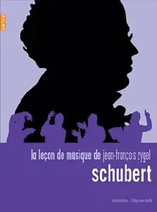 (Fr5) La Leçon de Musique De Jean-François Zygel : Franz Schubert, le voyage d'hiver (2008)