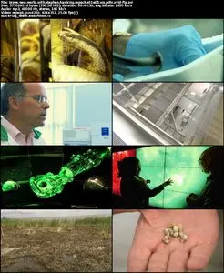 Brave New World With Stephen Hawking S01E05