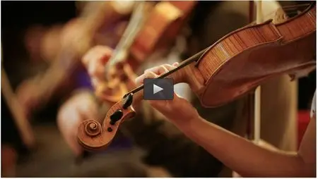 Udemy – Learn the Violin - No Music Experience Necessary!