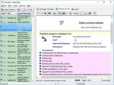 Reportizer 6.0.0.118