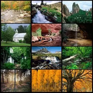 Nature Wallpaper