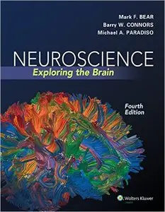 Neuroscience: Exploring the Brain (4th edition) [Repost]