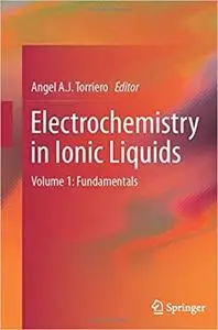 Electrochemistry in Ionic Liquids: Volume 1: Fundamentals