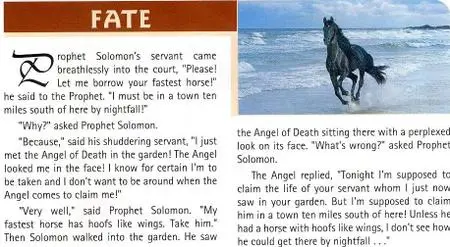 Sufi Wisdom - Magazine - No:5 - May 2007