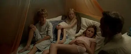 Borgman (2013)