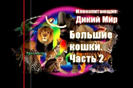 The Wild World: Big cats. Part 2 / Дикий мир: Большие кошки. Часть 2 (1999)