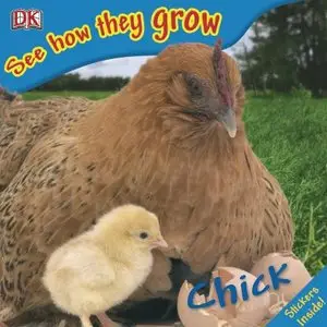 Chick (DK – See How They Grow) (repost)