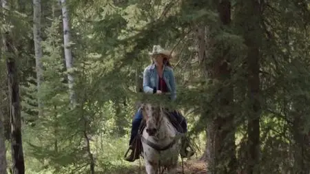 Heartland S12E07