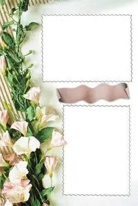 Photo Frame - PSD Template for Photoshop 1208