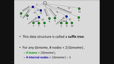 Coursera - Bioinformatics Algorithms Part 1 (2013)