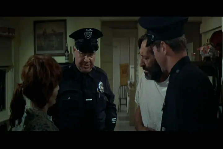 The New Centurions (1972)