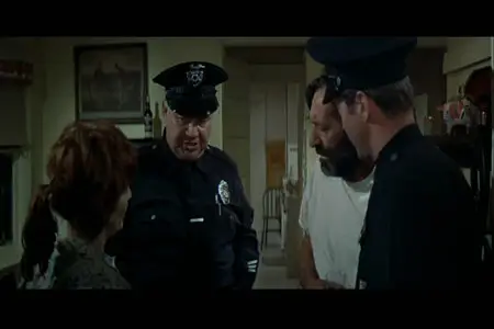 The New Centurions (1972)