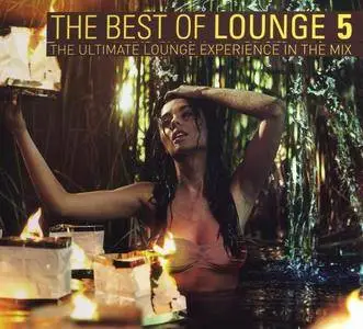 V.A. - The Best Of Lounge 5 - The Ultimate Lounge Experience In The Mix [4CD] (2012)