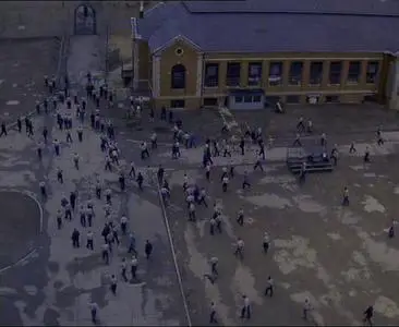 The Shawshank Redemption