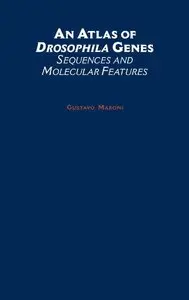 An Atlas of Drosophila Genes: Sequences and Molecular Features