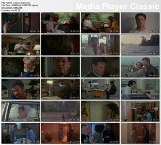 Testa o croce (1982)