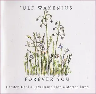  Ulf Wakenius - Forever You (2003)