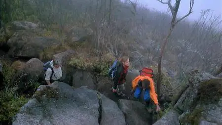 Journey with Dylan Dreyer S02E11