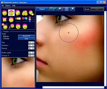 PhotoInstrument 3.9 Build 395 - Multilanguage